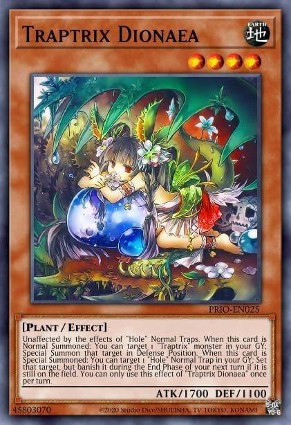 More Than a Trap – Yu-Gi-Oh! Structure Deck: Beware of Traptrix (Sealed 48-Card Deck) - VaultCards shop
