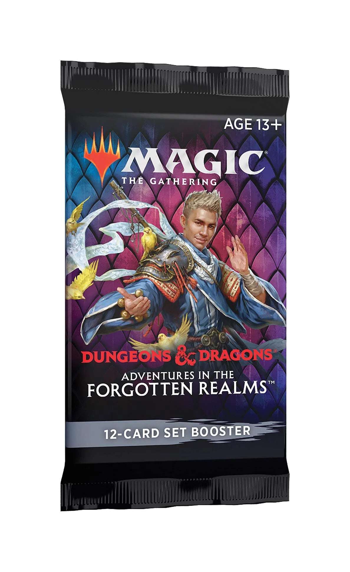 Set Booster Pack Lot MTG Adventures in the Forgotten Realms